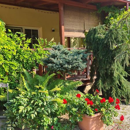 Apartament Malinowa Dolina Kłodzko Kültér fotó