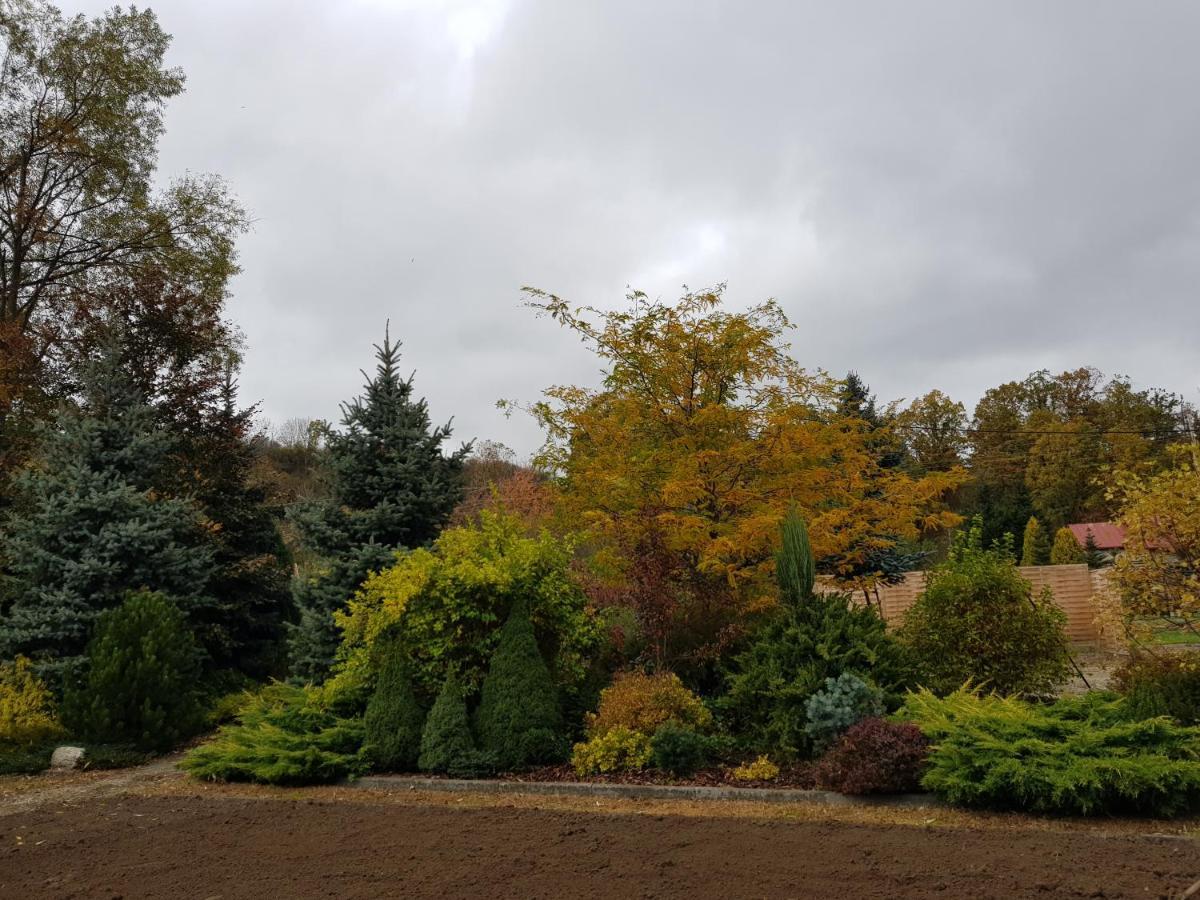 Apartament Malinowa Dolina Kłodzko Kültér fotó